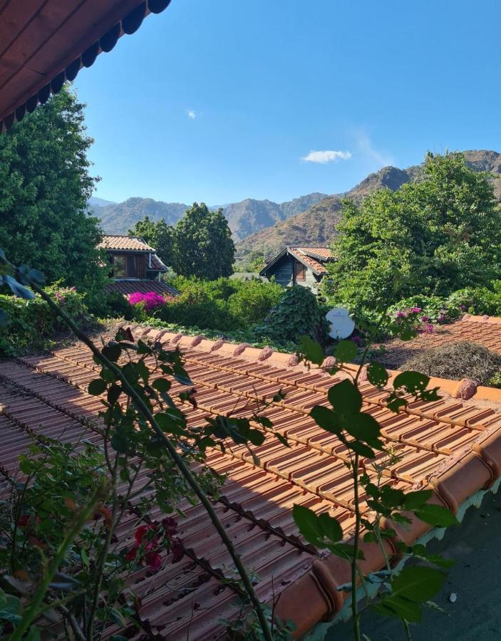 Apartamento Flora Pansiyon Cirali Kemer Exterior foto