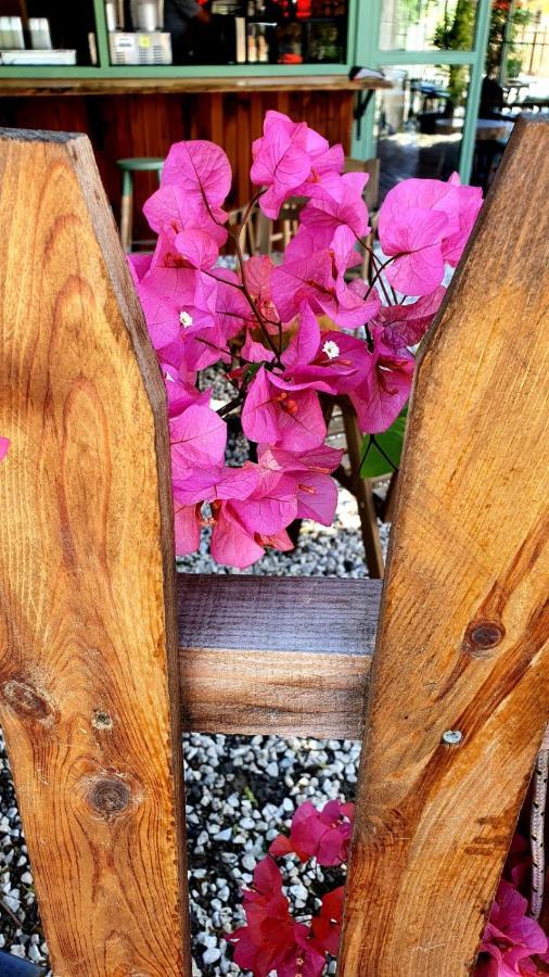 Apartamento Flora Pansiyon Cirali Kemer Exterior foto