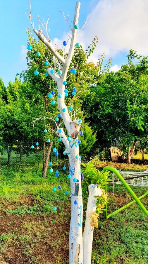 Apartamento Flora Pansiyon Cirali Kemer Exterior foto